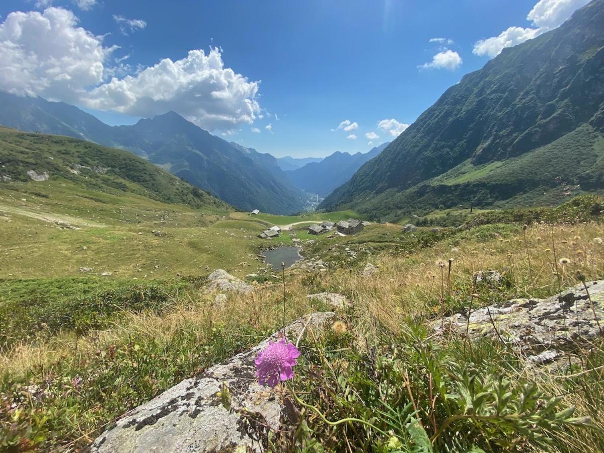 Mountain Cabin Valsesia Appartement Stella Varallo Bagian luar foto